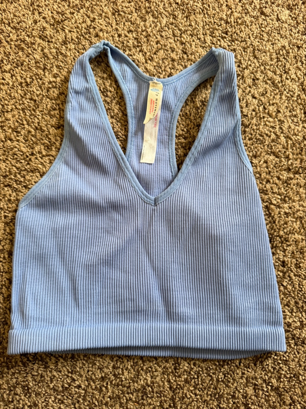 Light Blue Ribbed Free People top